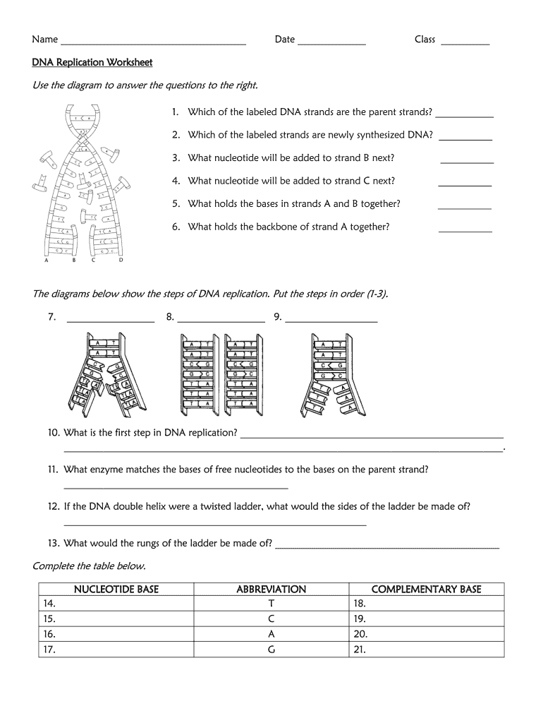 Dna Replication Worksheet Fill Online Printable Fillable Worksheets Library