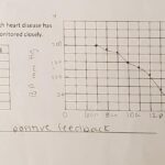Free Printable Homeostasis Worksheets For Students Worksheets Library