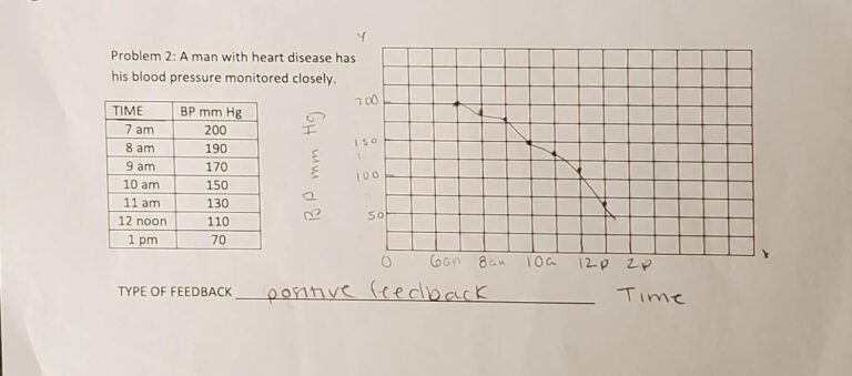 Free Printable Homeostasis Worksheets For Students Worksheets Library