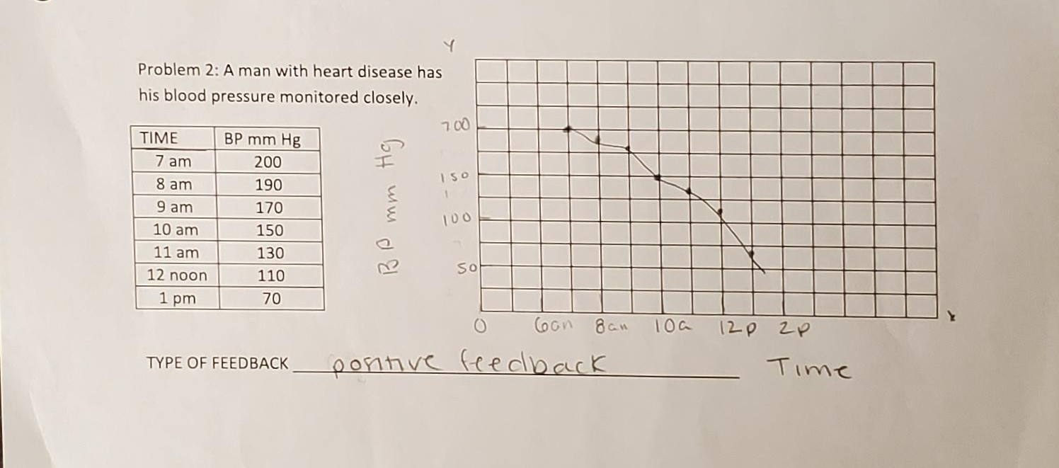 Free Printable Homeostasis Worksheets For Students Worksheets Library