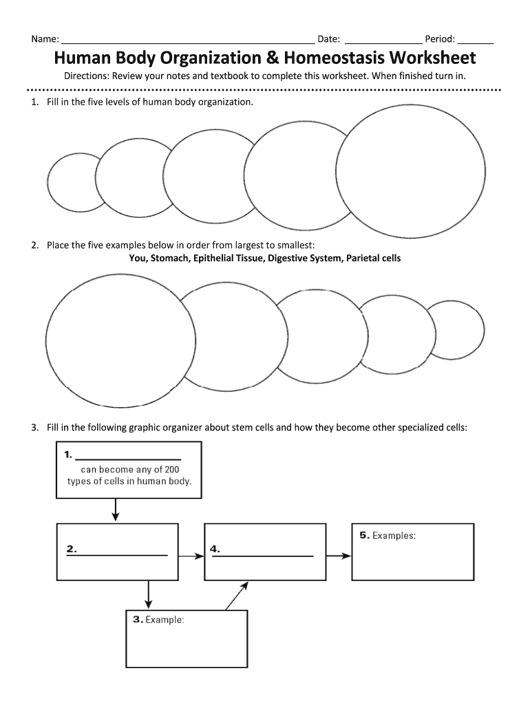 Homeostasis Worksheet Fill Out amp Sign Online DocHub Worksheets Library