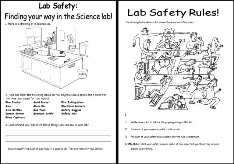 Lab And Experiment Safety 58 OFF Worksheets Library