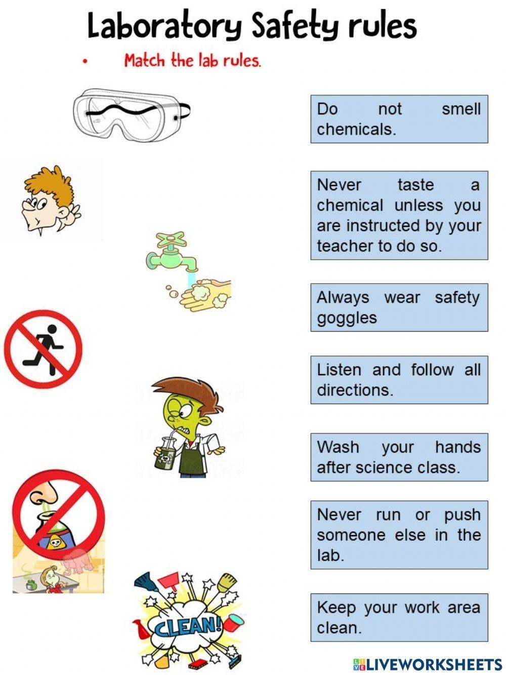 Laboratory Safety Rules Worksheet Live Worksheets Worksheets Library