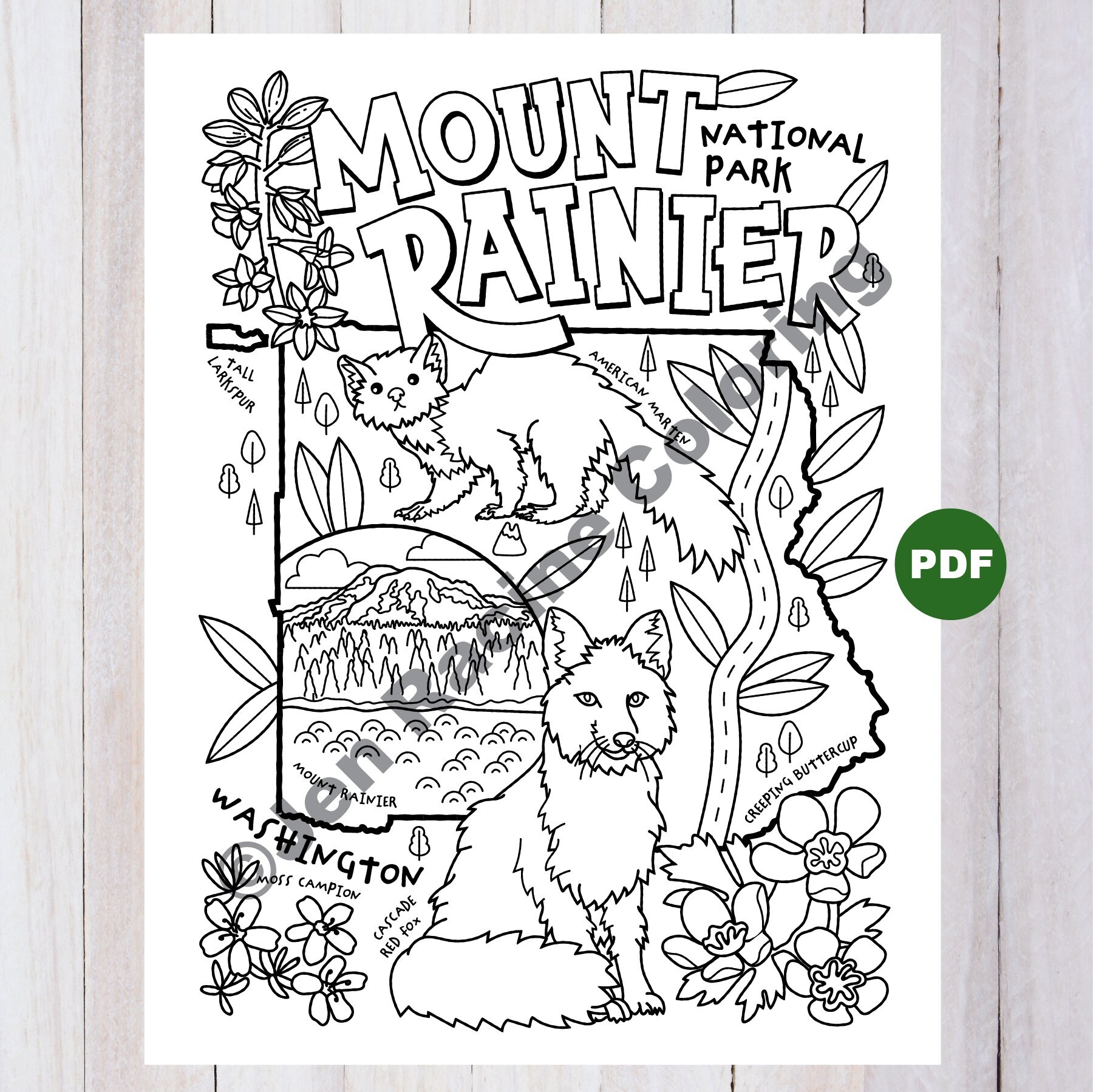 Mount Rainier National Park Coloring Page Etsy