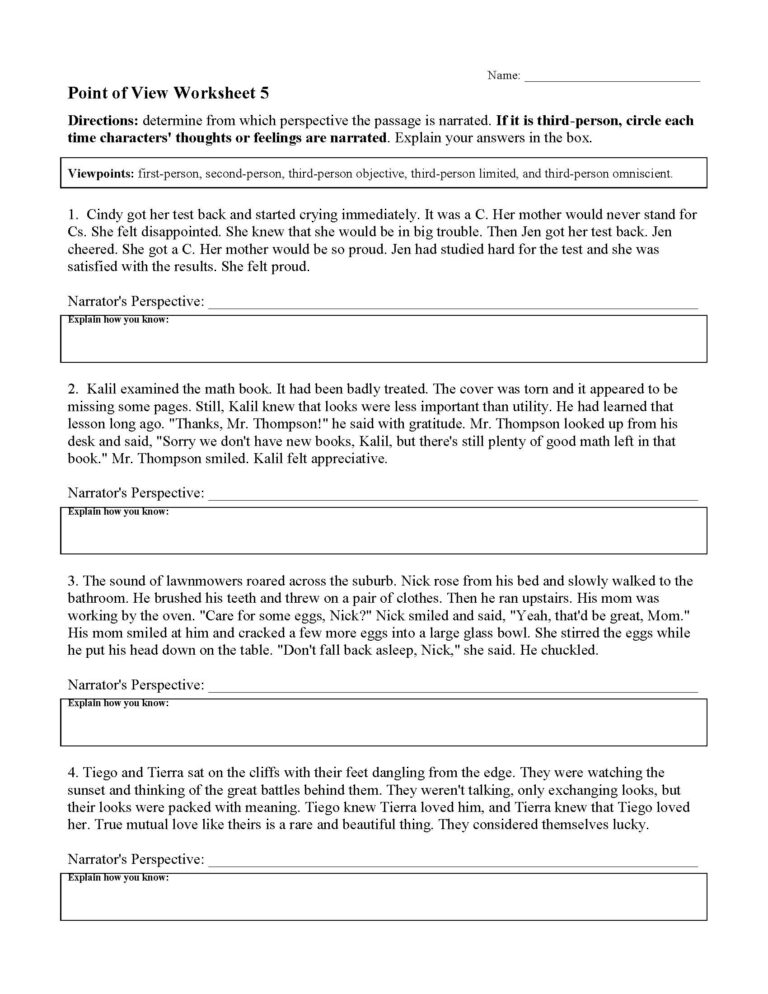 Point Of View Worksheet 5 Reading Activity