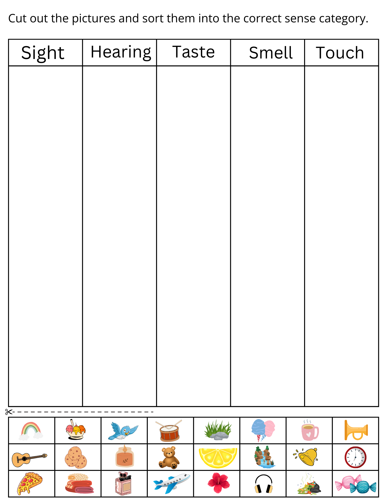 5 senses worksheet