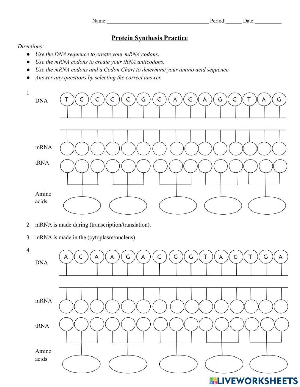 Protein Synthesis Practice Interactive Worksheet Live Worksheets Worksheets Library