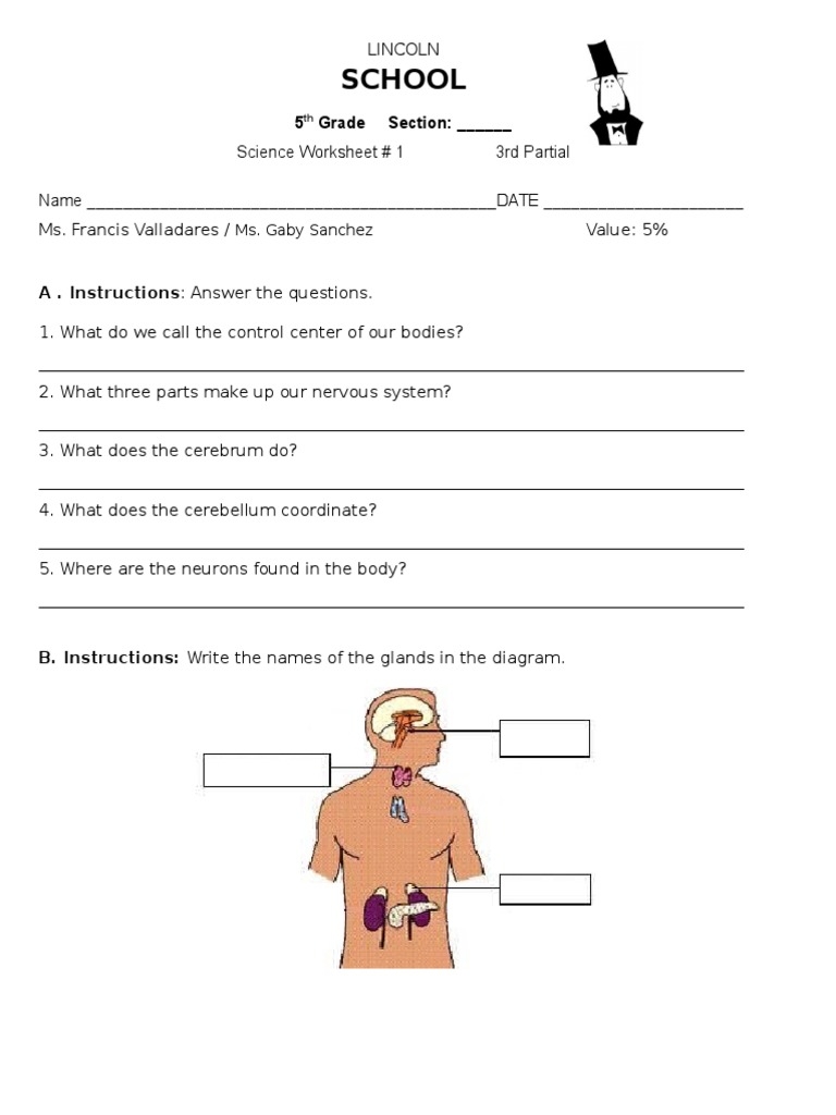 Science Worksheet 01 5th Grade 3rd Partial PDF Worksheets Library