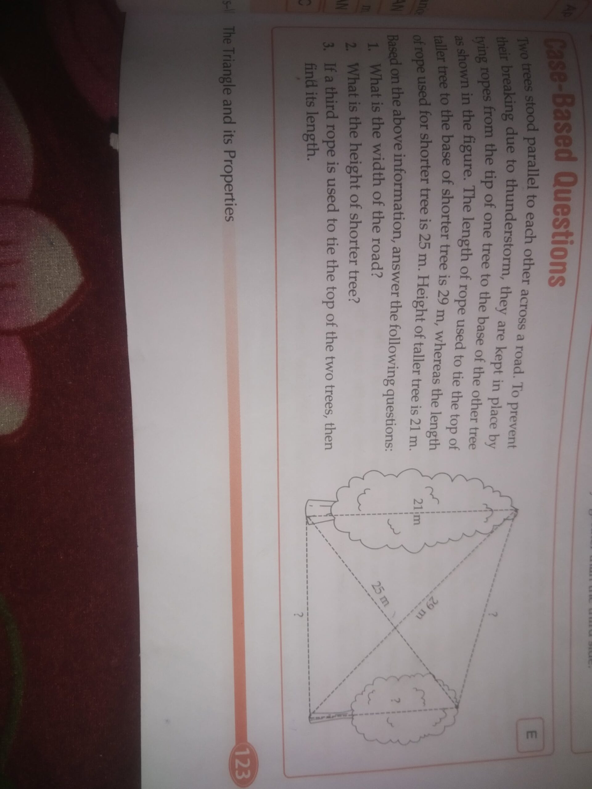 Two Trees Stand Parallel To Each Other Across A Road To Prevent Their Br 